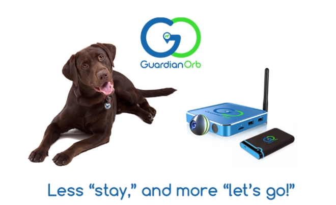 GuardianOrb