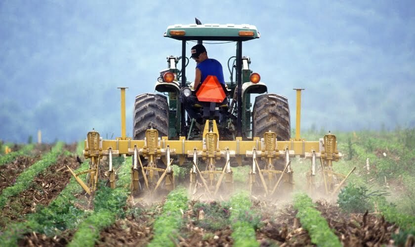 Nokia IoT agriculture