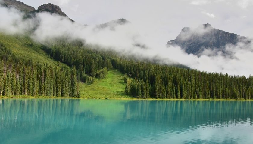 Lake Water
