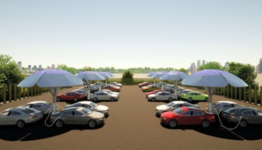 solar energy trees